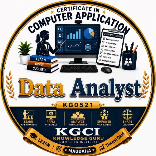 Data Analyst